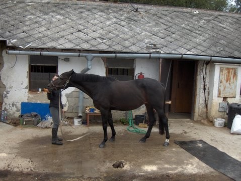 4-Tendě před maštalí ;)