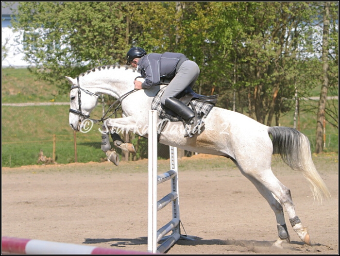 7-VEJMĚLEK(TICIÁN) PARKUR-80-90CM